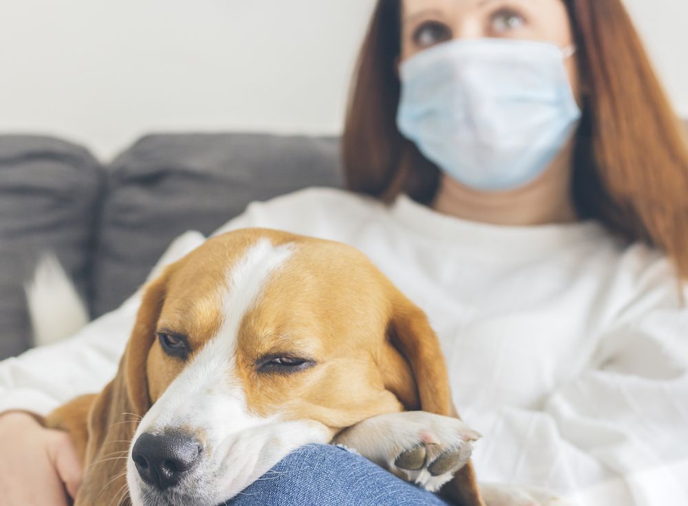 Editorial: September 11, 2020